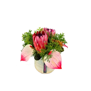 Sacred Bloom
